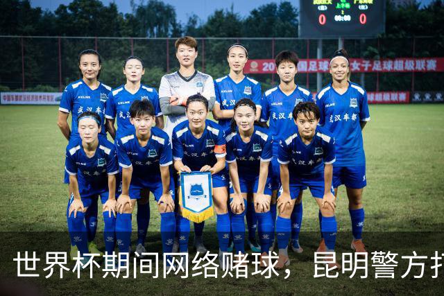 世界杯期间网络赌球，昆明警方打掉两个团伙抓获42人